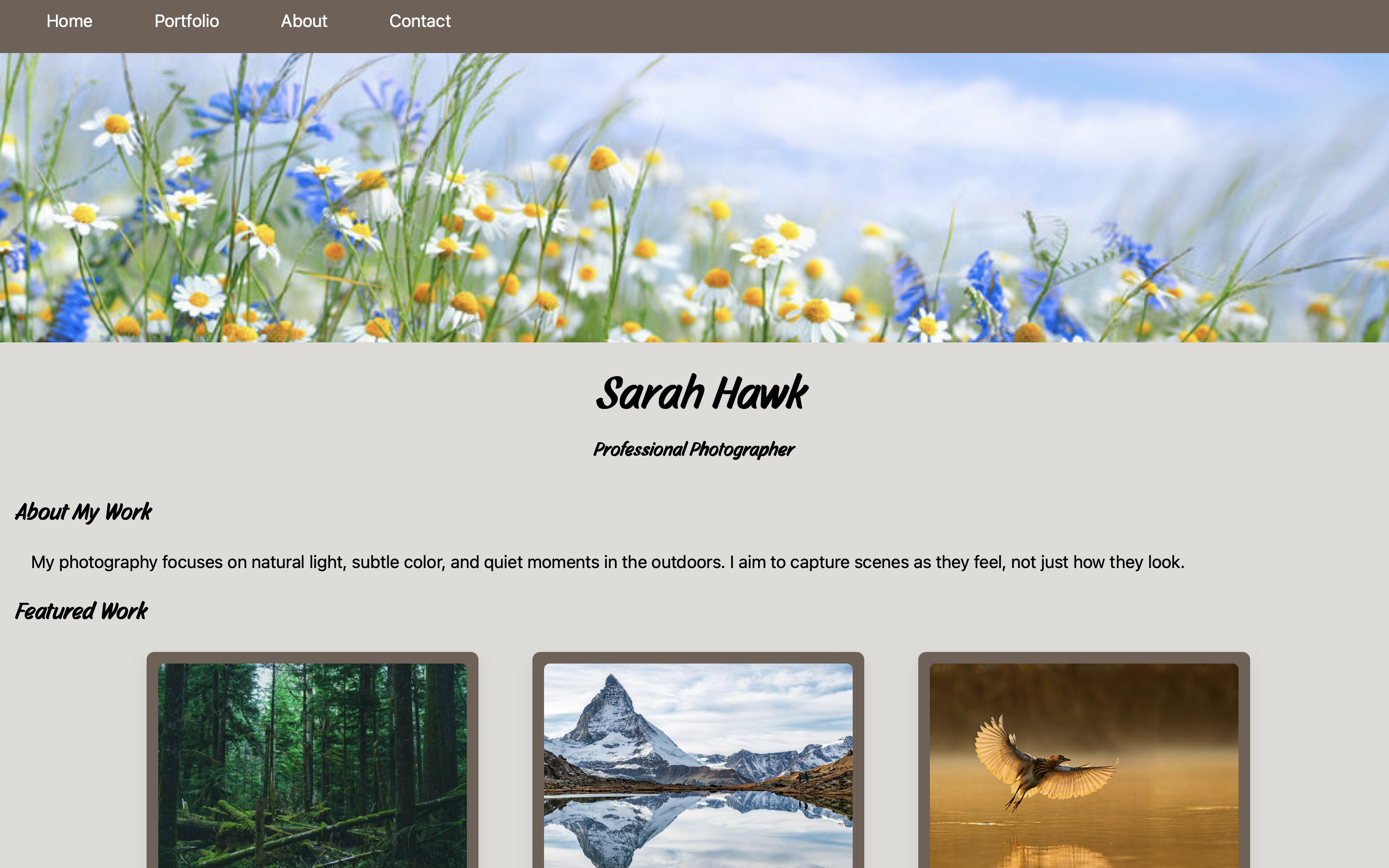 Sarah Hawk Demo Site